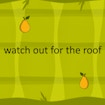 watch out for the roof